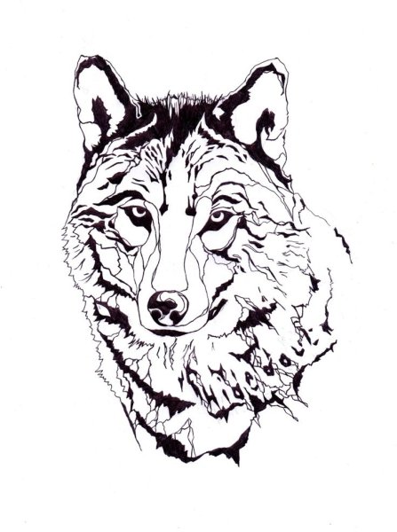 Волк тату эскиз