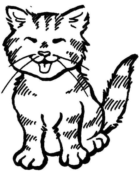 Кот раскраска для детей