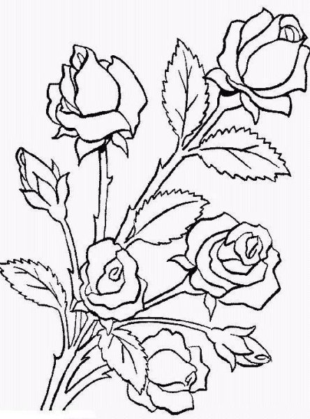 Художник Татьяна Марковцева - черно-белая Графика