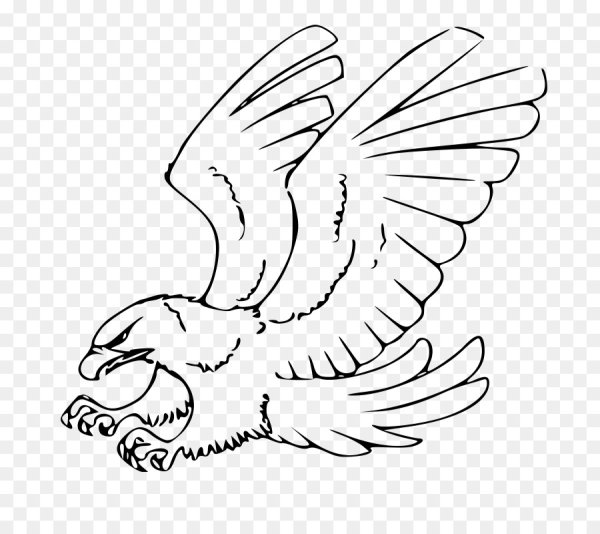 Рисунки орла для срисовки