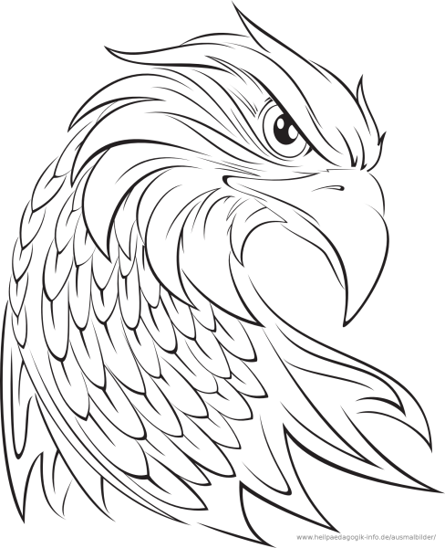 Орел рисунок