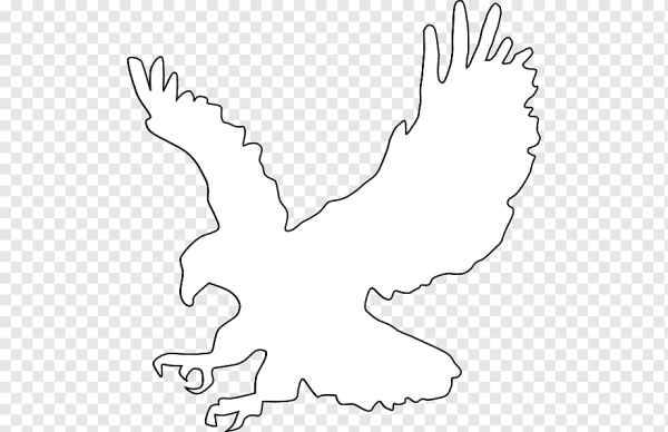 Орел контур