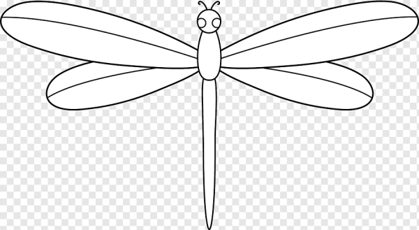 Стрекоза раскраска