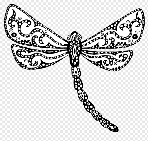 Стрекоза раскраска