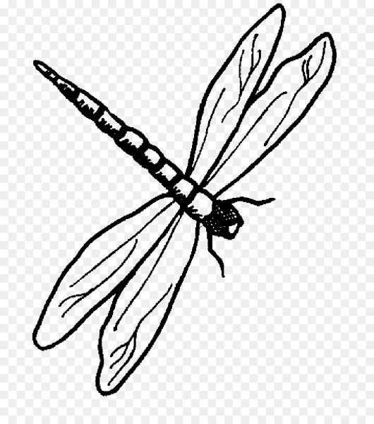 Стрекоза раскраска