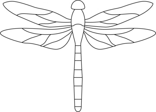 Стрекоза трафарет