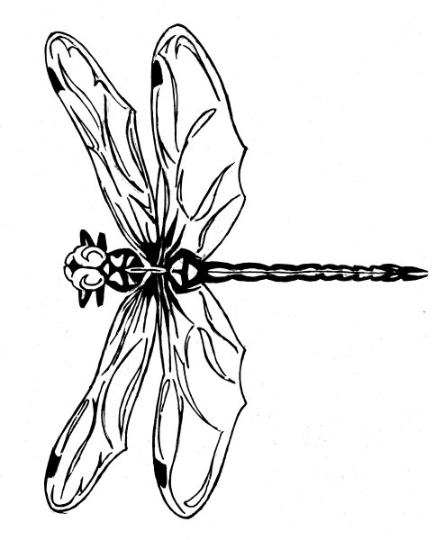 Стилизованные Стрекозы