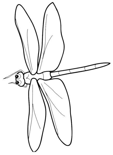 Раскраска для девочек бабочки и Стрекозы