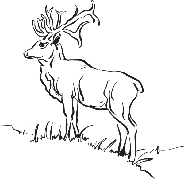 Трафарет оленя для вырезания