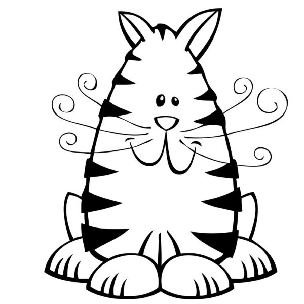 Котик контур