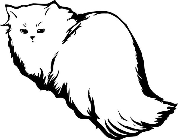 Контур пушистого кота