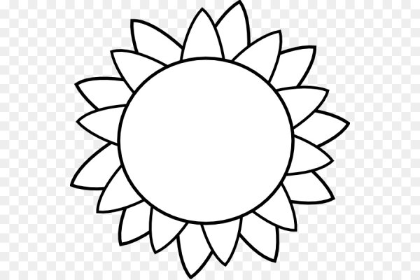 Подсолнух контурный рисунок