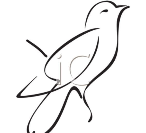 Птица контур