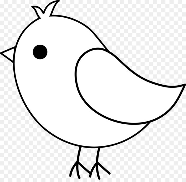 Птичка раскраска для детей