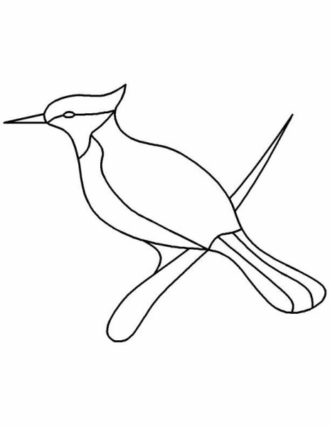 Контурные птички