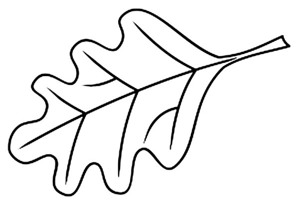 Дубовый лист трафарет