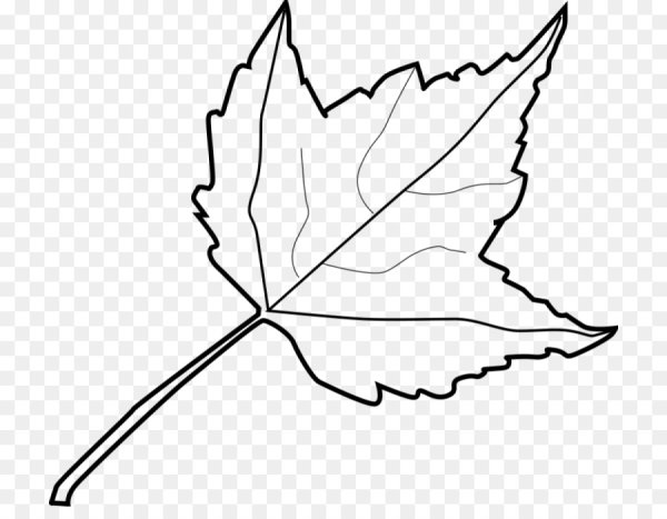 Кленовый лист раскраска