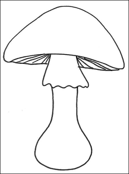 Грибок раскраска для детей