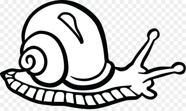 Улитка раскраска
