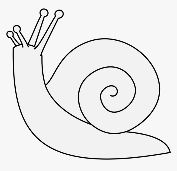 Улитка раскраска