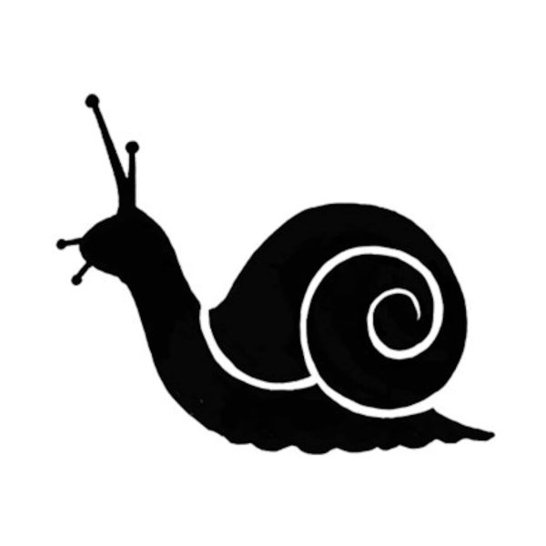 Улитка раскраска для детей