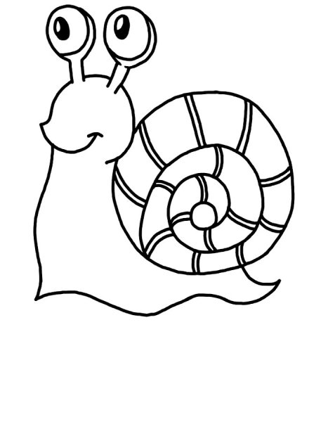 Улитка раскраска