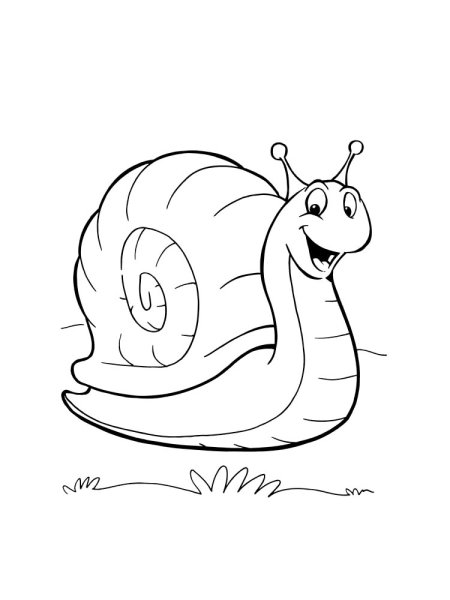 Контурный рисунок это определение