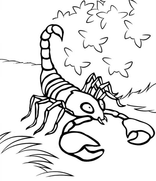 Скорпион тату контур