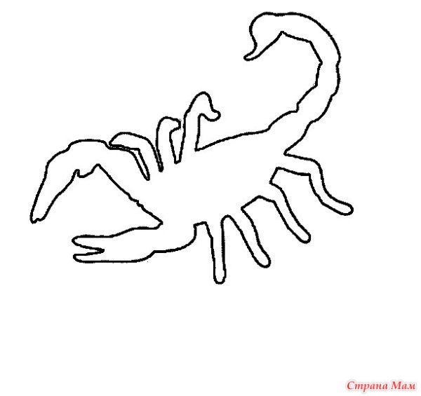 Скорпион раскраска