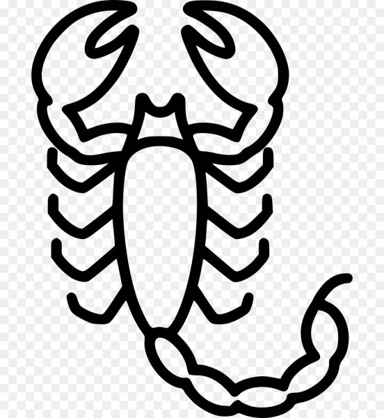 Тату Скорпион эскизы