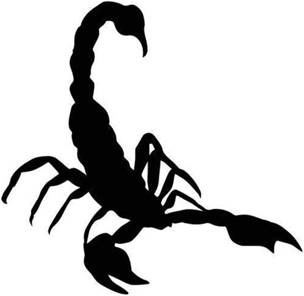 Скорпион рисунок