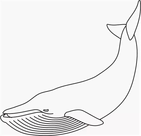 Раскраска. Кит