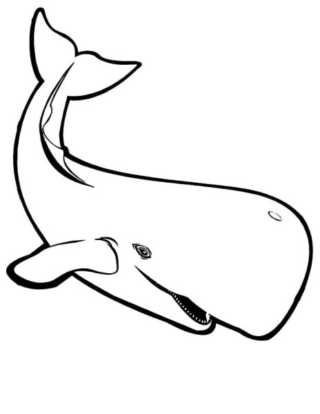 Трафареты китов