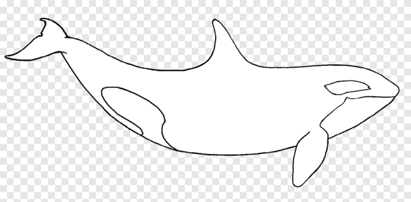 Контур кита для детей