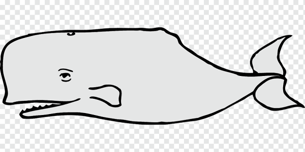 Раскраска Горбач или горбатый кит