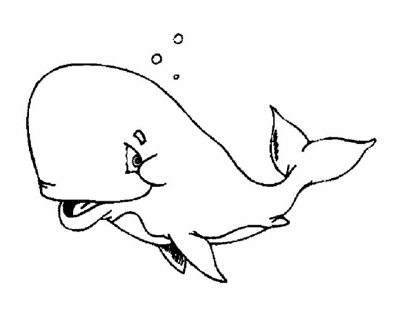 Касатка для раскрашивания