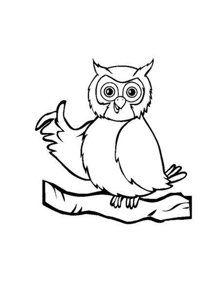 Филин черно белый