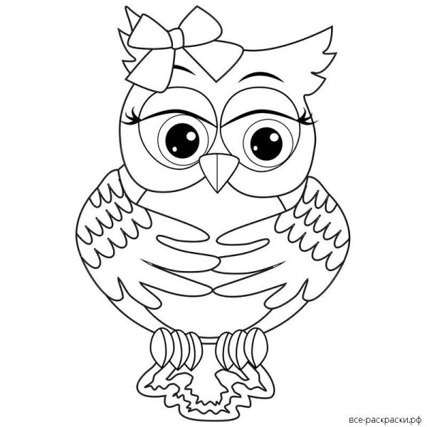 Сова контур