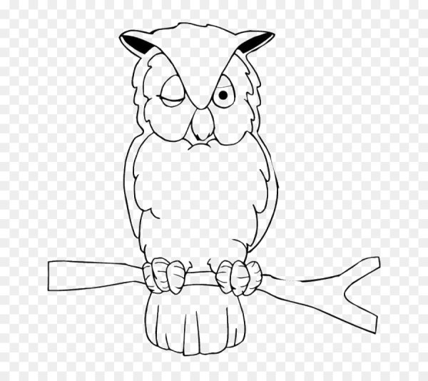 Голова Совы