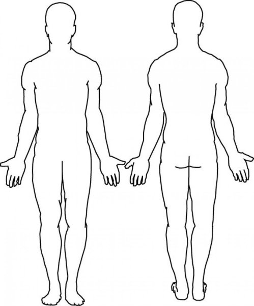 Портрет одной линией