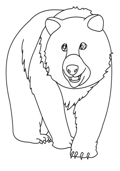 Трафарет медведя для вырезания