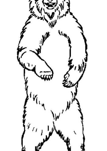 Белый медведь раскраска