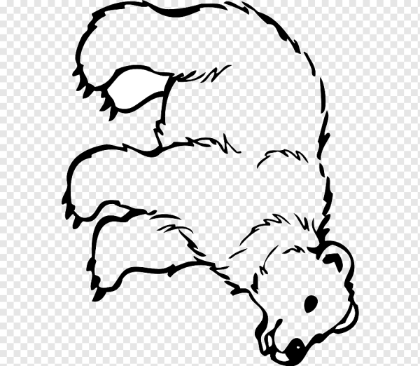 Медведь черно белый