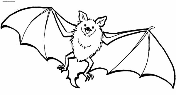 Трафарет летучая мышь для Хэллоуина