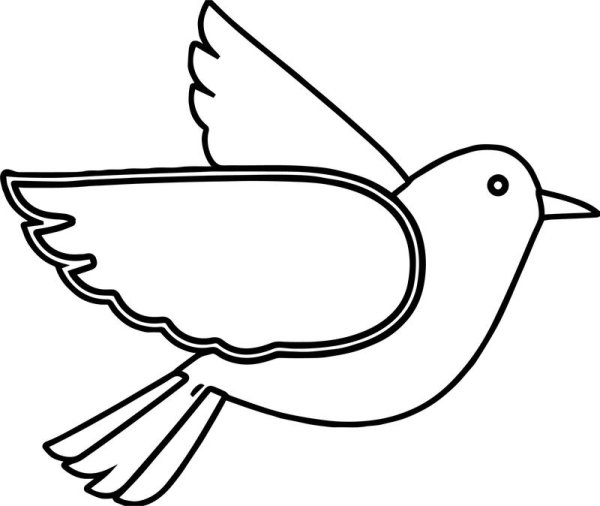 Контур птички для раскрашивания