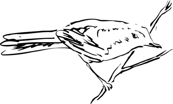 Птица арт контур