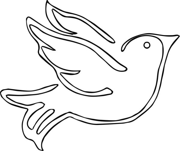 Птичка контур