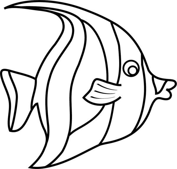 Морские рыбки раскраска