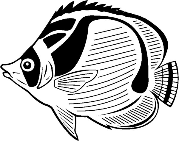 Рыбка черно белая