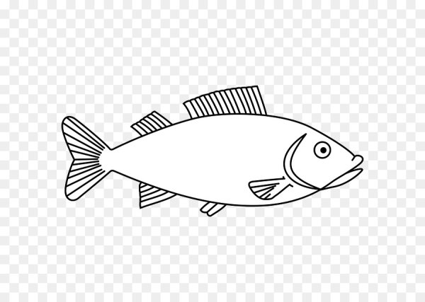 Рыба контурный рисунок